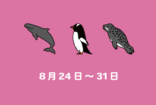 シーズンサイト用_おすすめコース0824-31