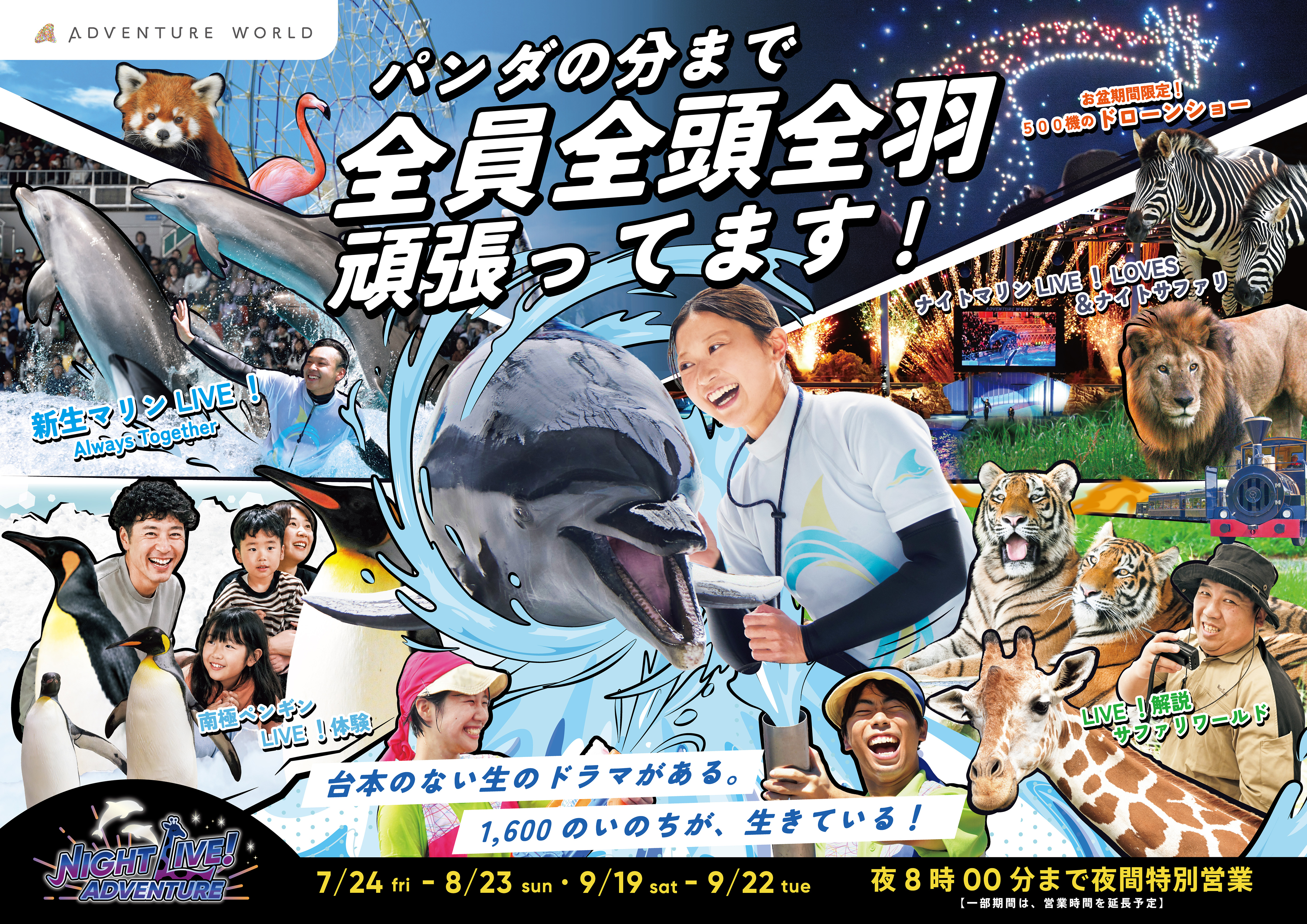 ワイルドクールスプラッシュ！｜アトラクション | アドベンチャーワールド