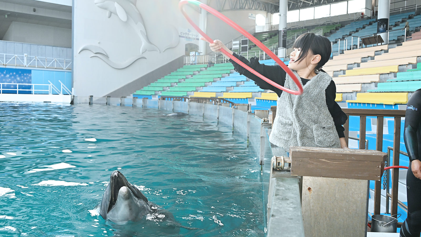 KV_4_ファミリー