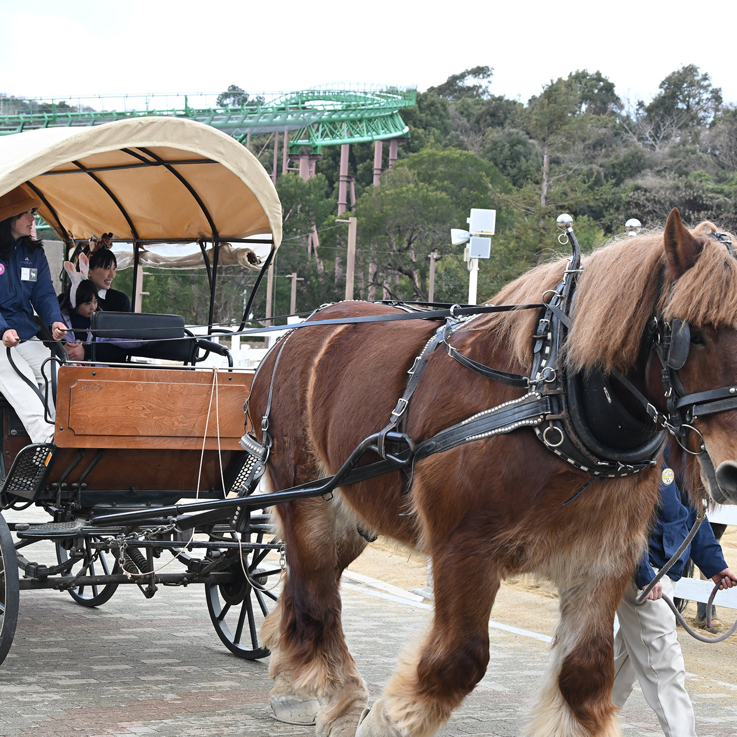 いっぱい遊んで