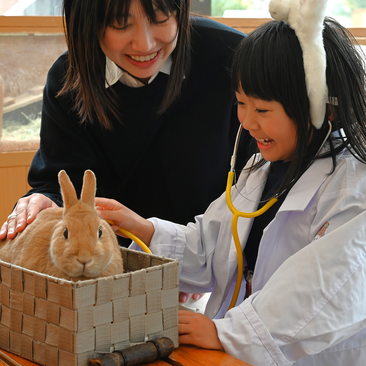 飼育員さんの
お仕事体験したり！
