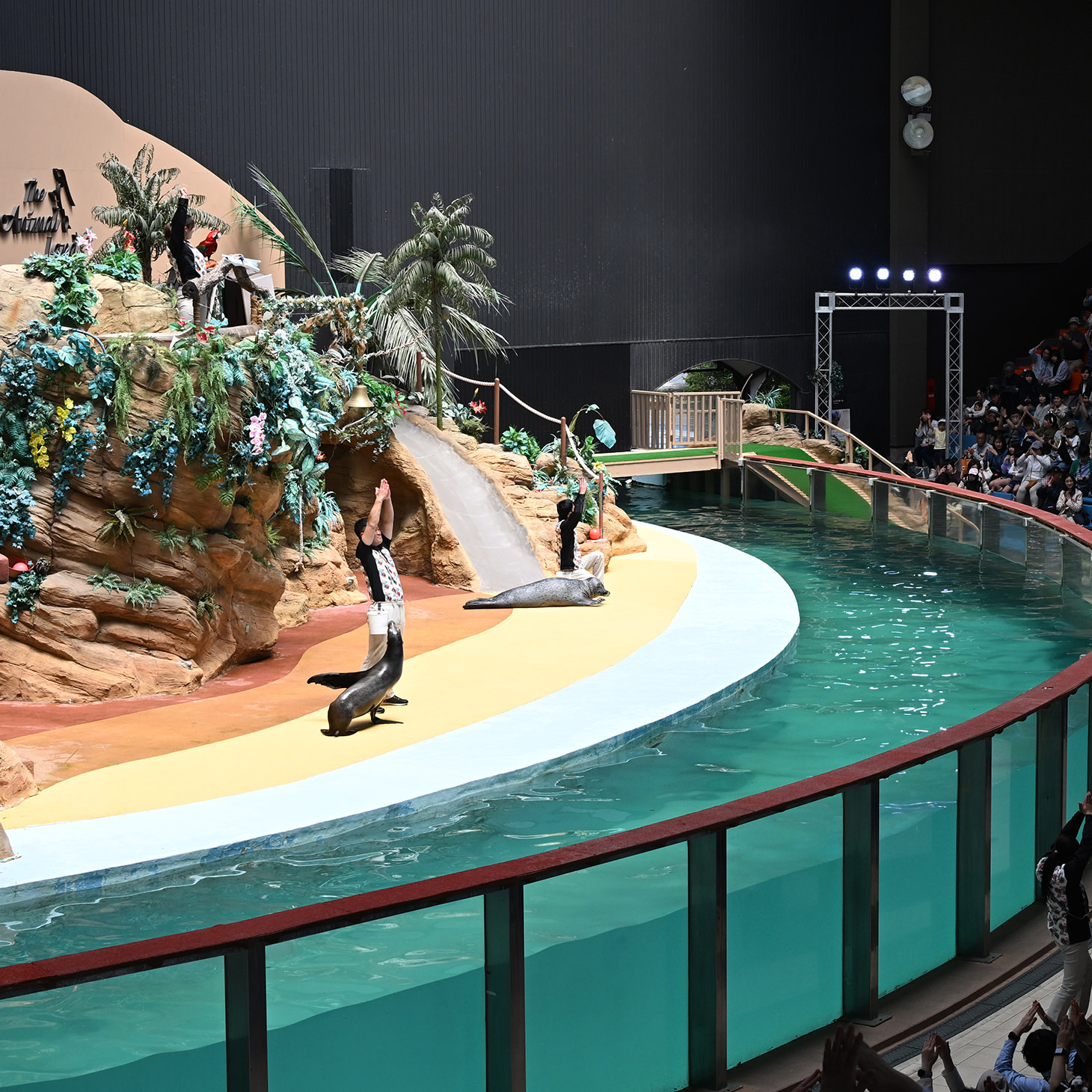 さらに動物大集合する
笑いと驚きの圧巻ライブや