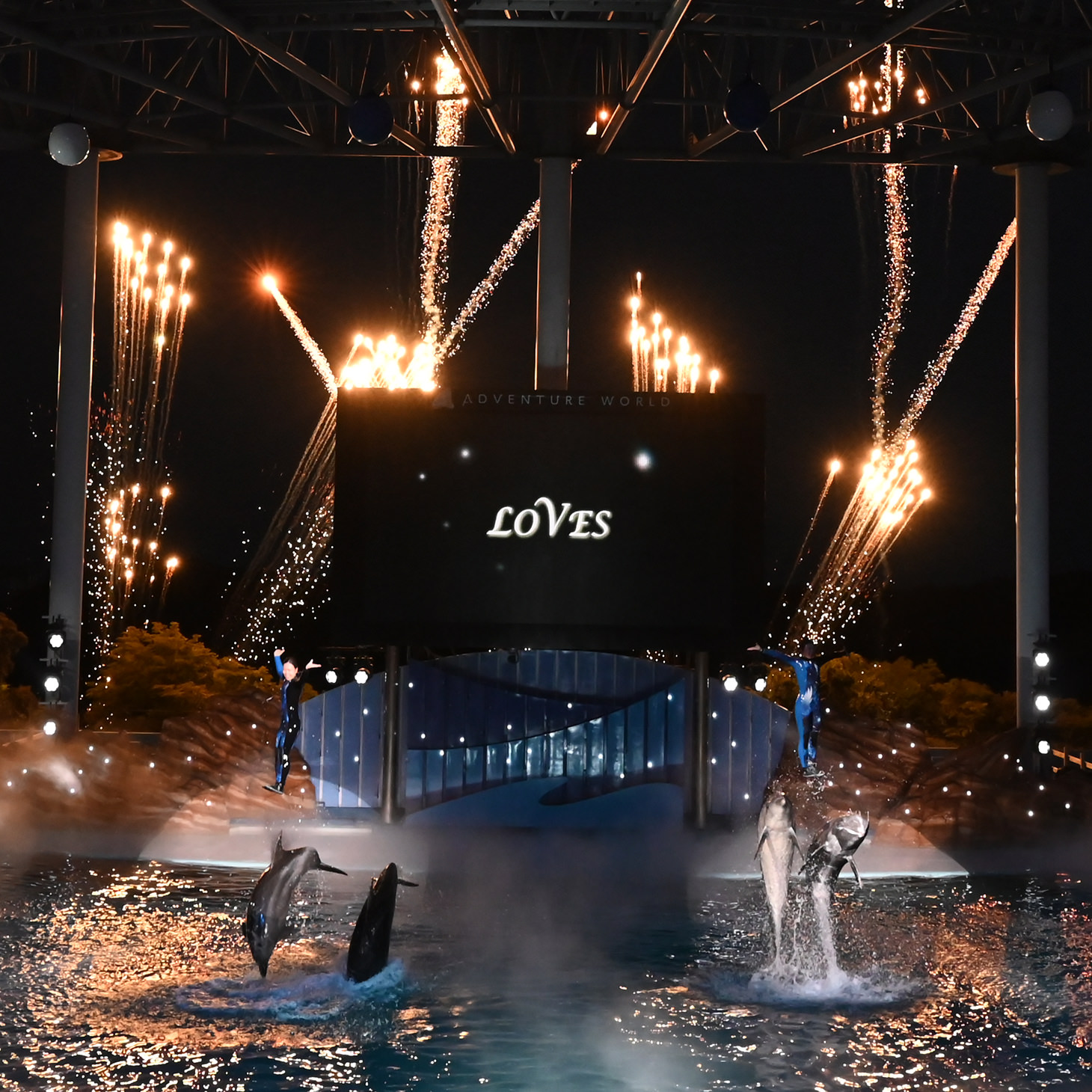 人、イルカ、クジラ。
愛と感動のステージ