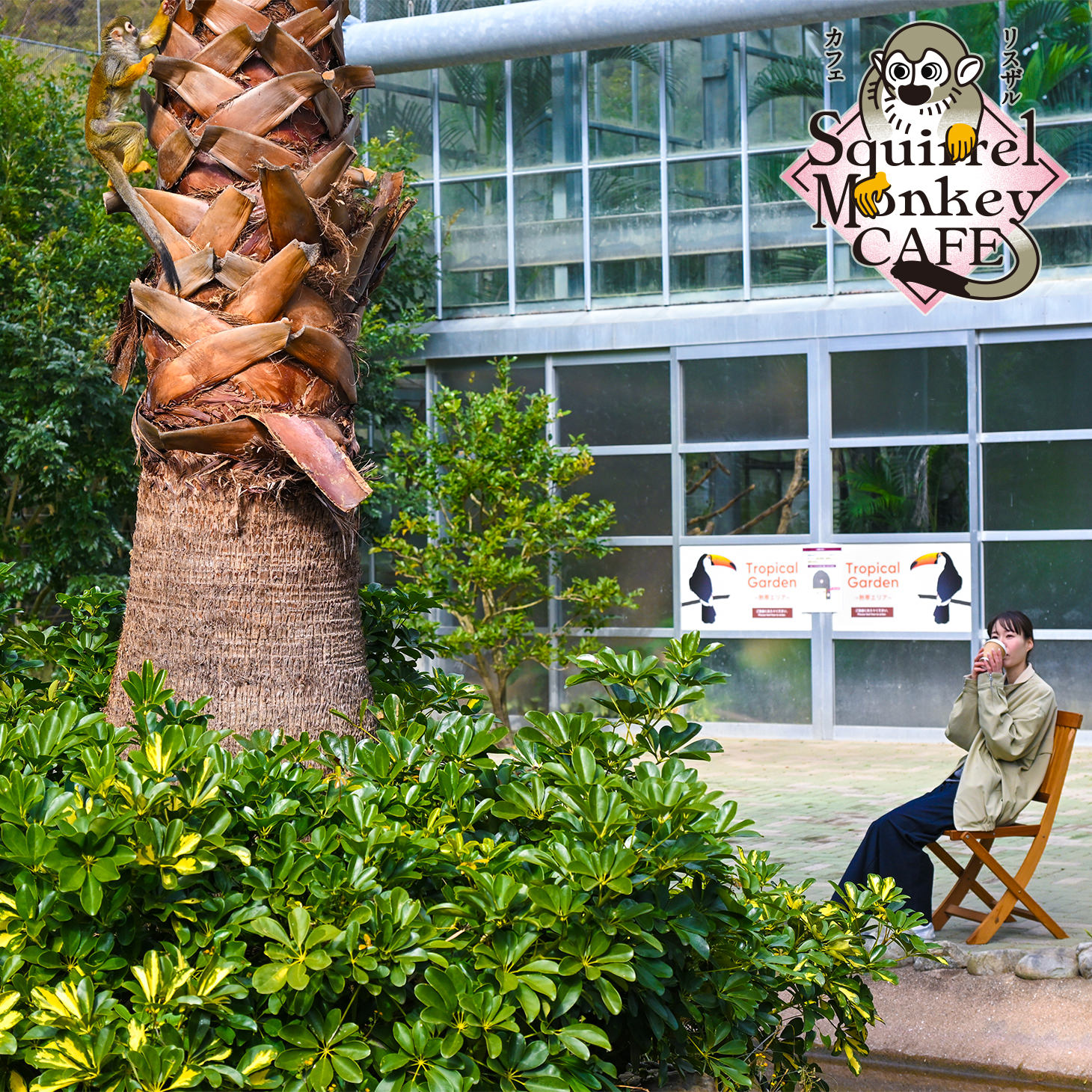 リスザルと森の
カフェでくつろいだり