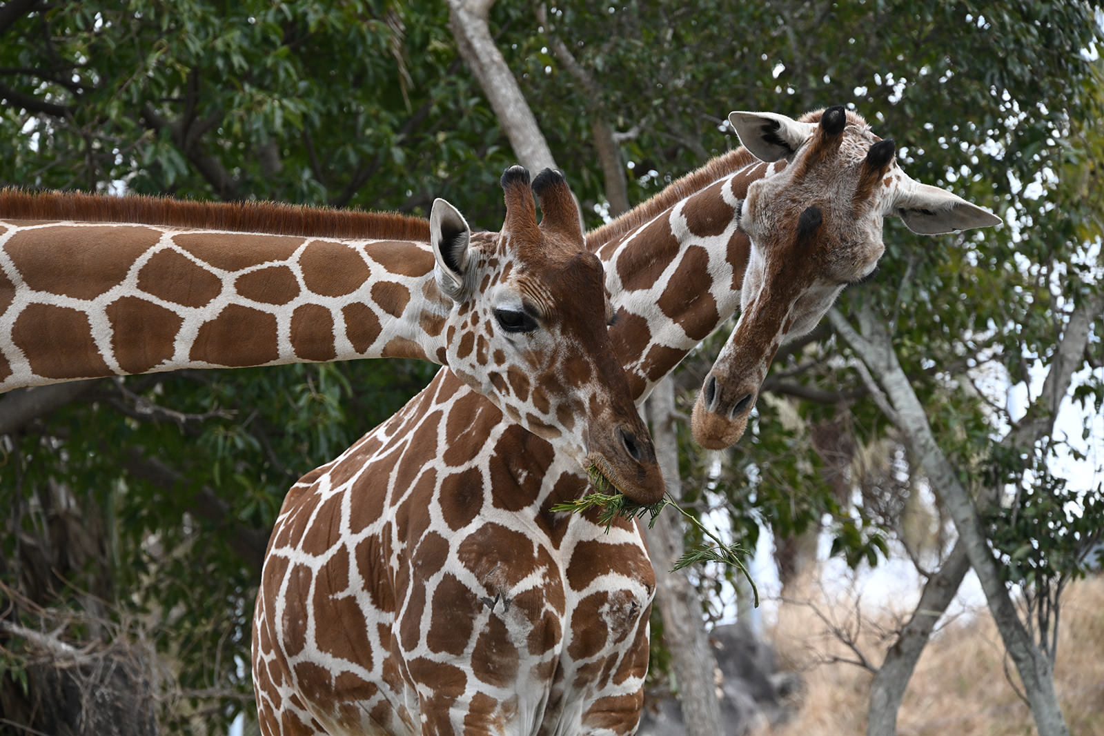 img_1_お仕事体験2