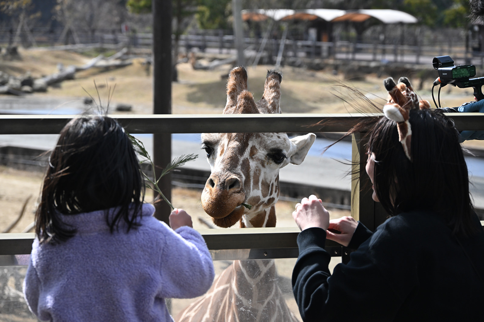 img_1_お仕事体験3