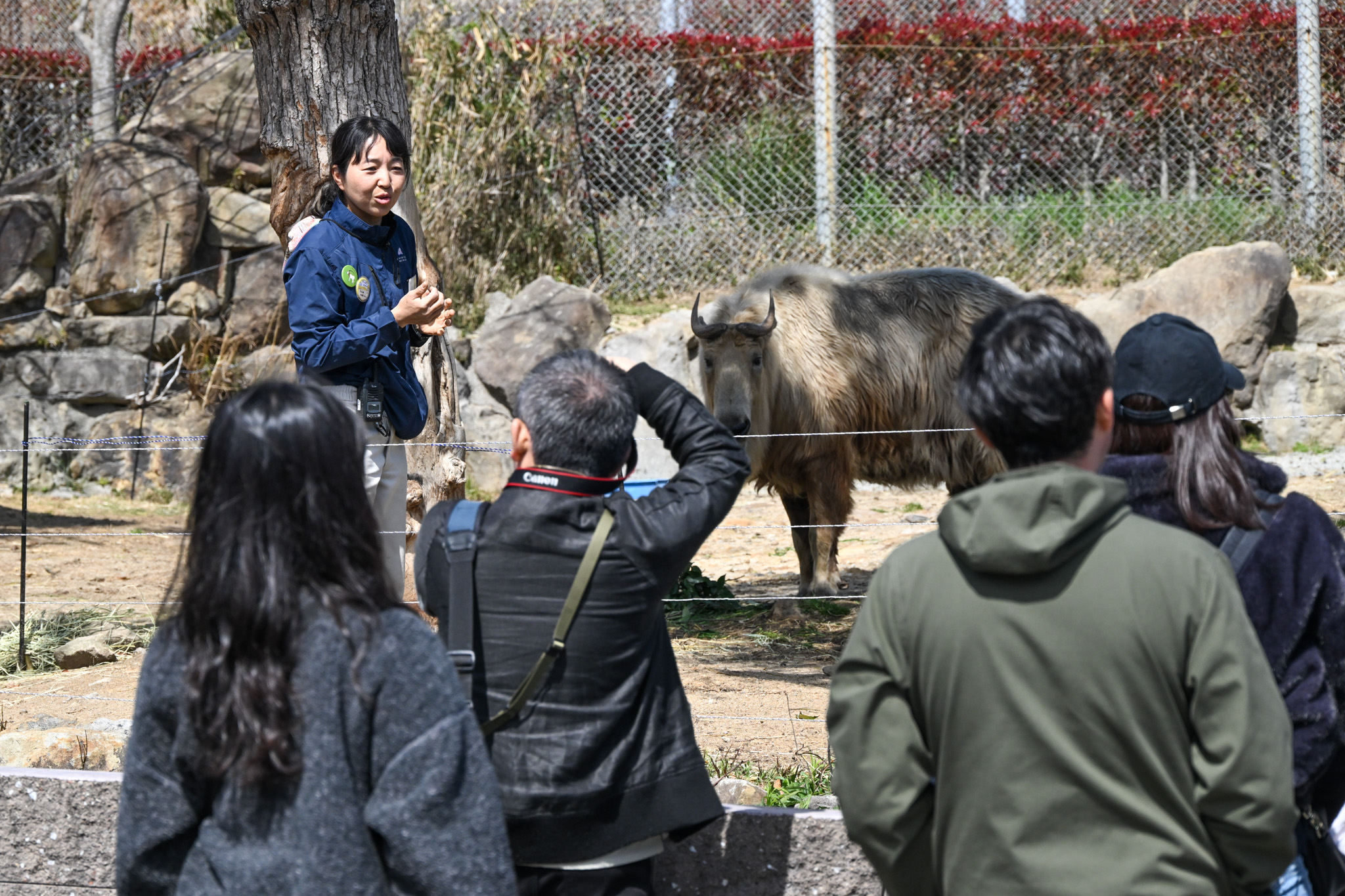 img_1_どうぶつLIVEトーク_更新