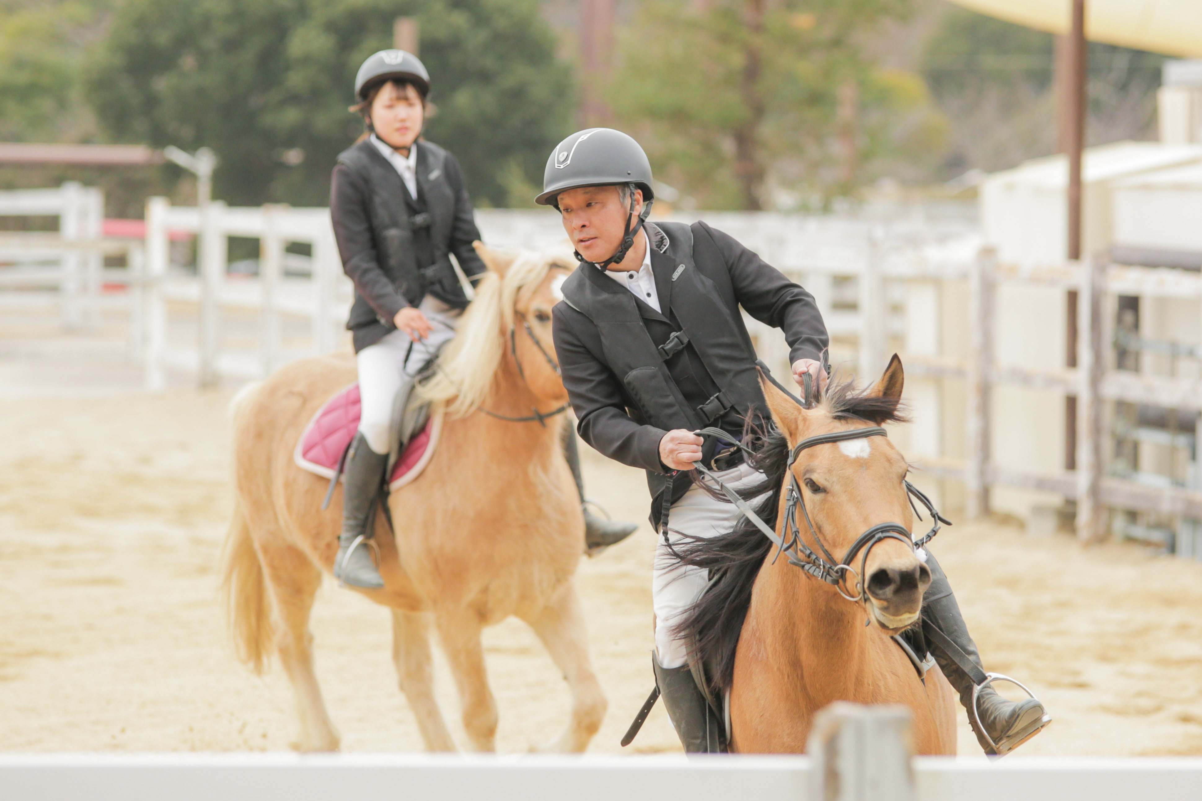 img_1_アニマルカーニバルwith2