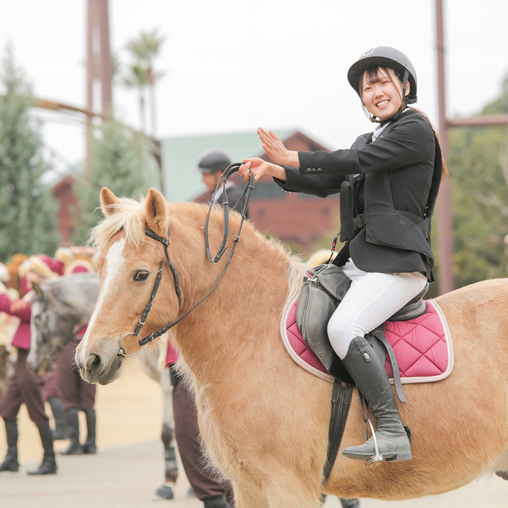 ウマの迫力のジャンプ
パフォーマンスを堪能し