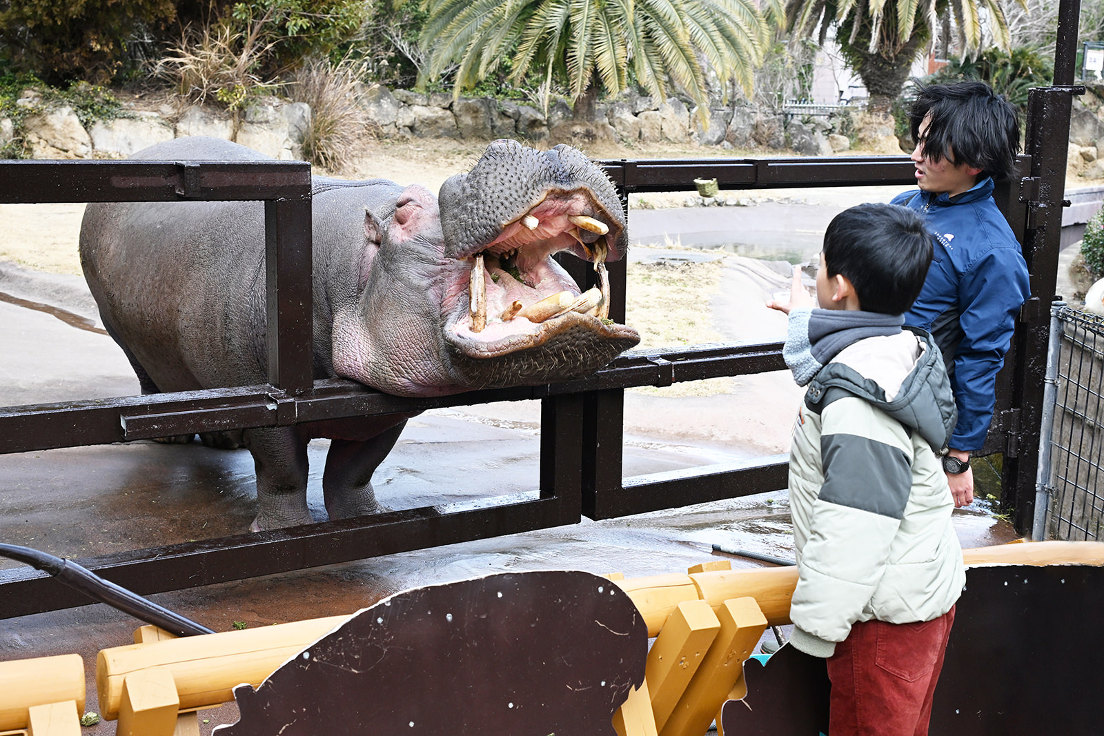 img_1_フィーディング1