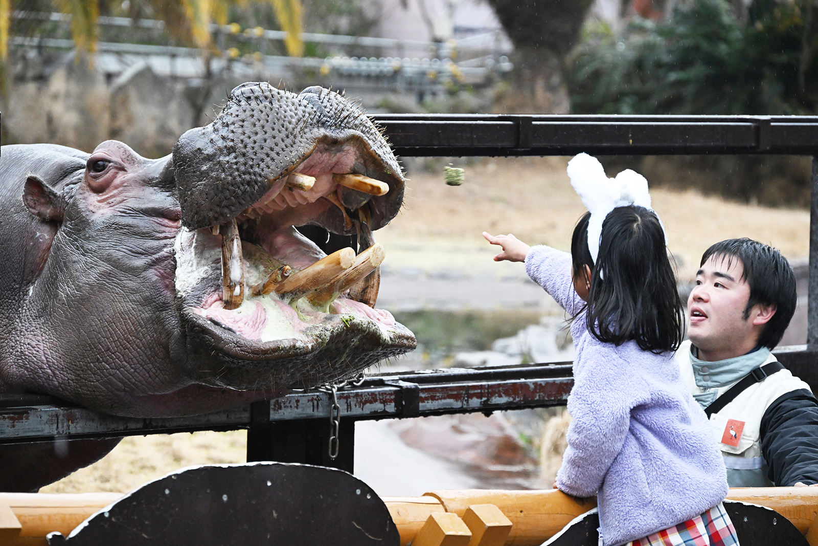 img_1_フィーディング11