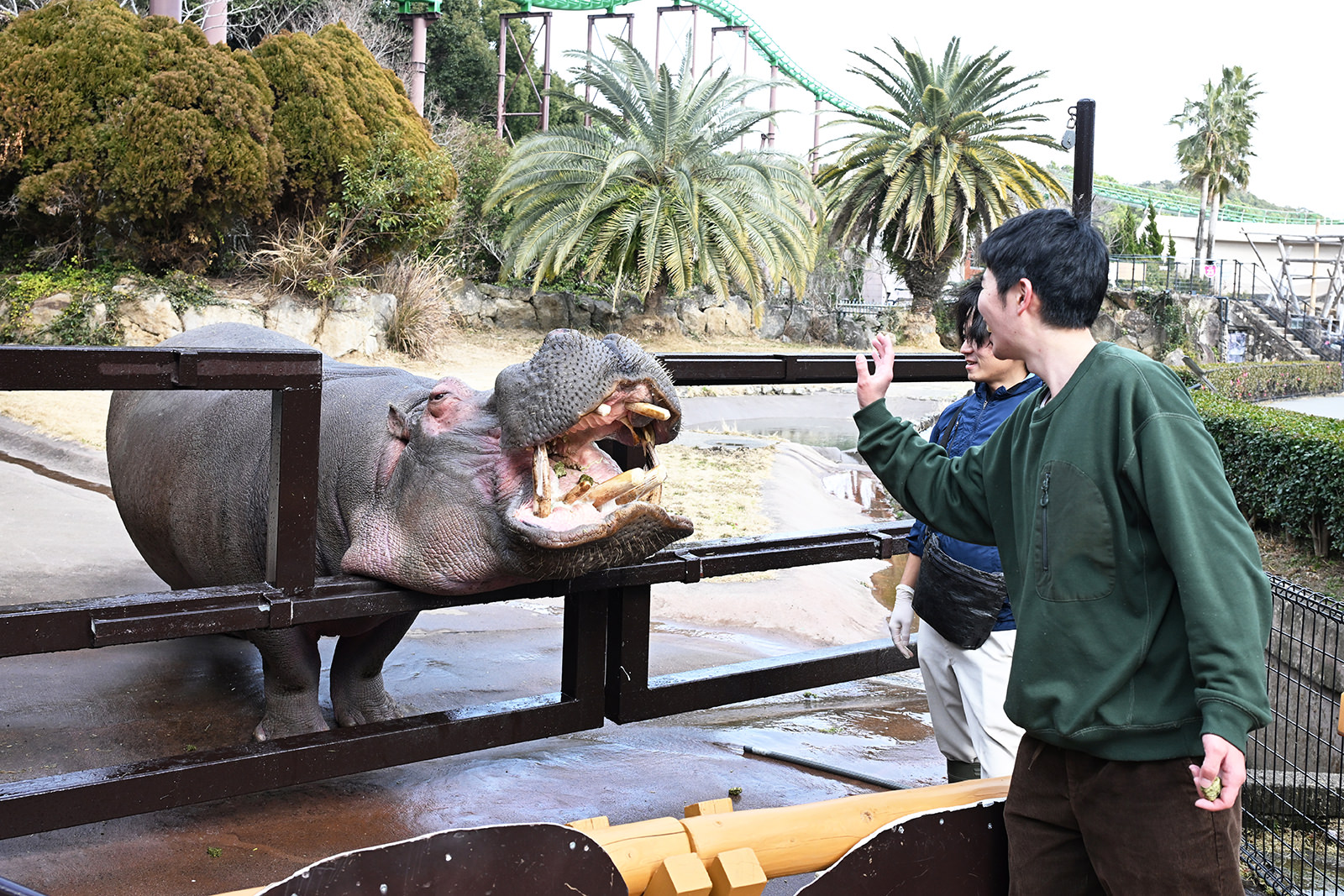 img_1_フィーディング2