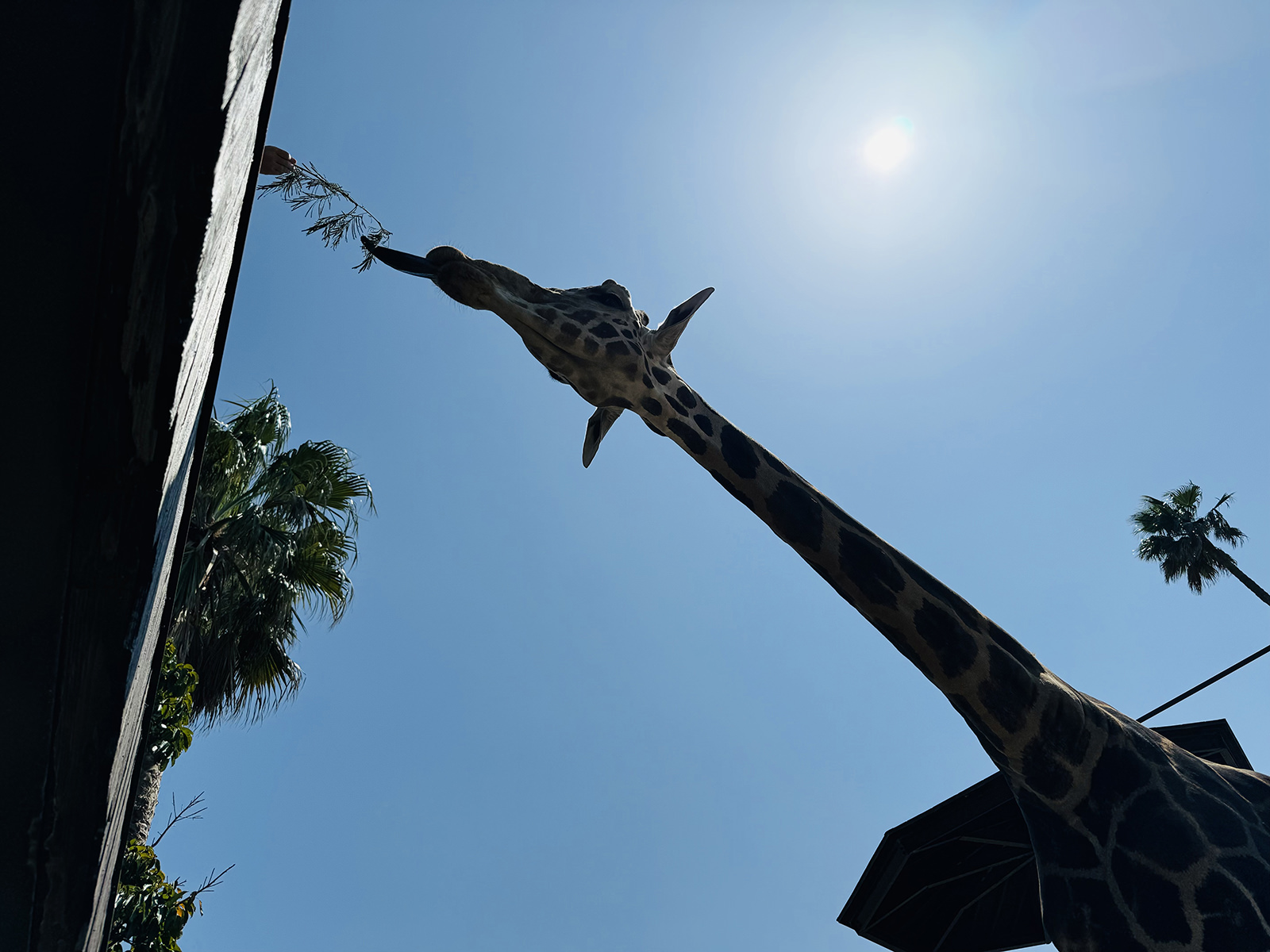 img_1_フィーディング3