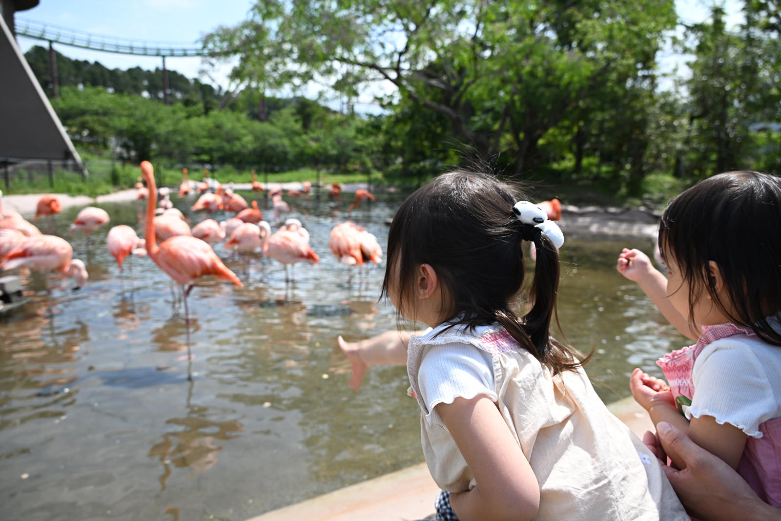 img_1_フィーディング4