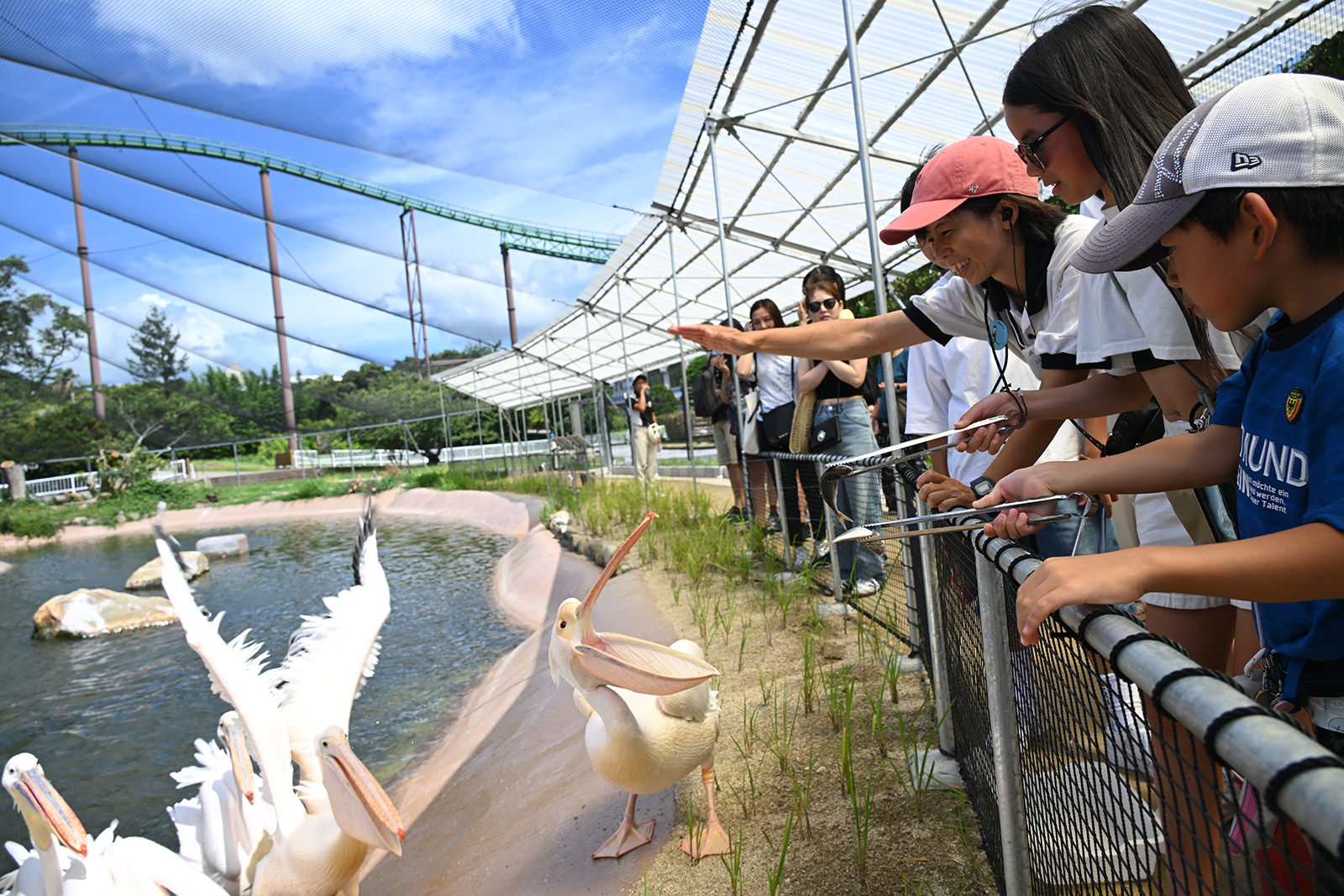 img_1_フィーディング6