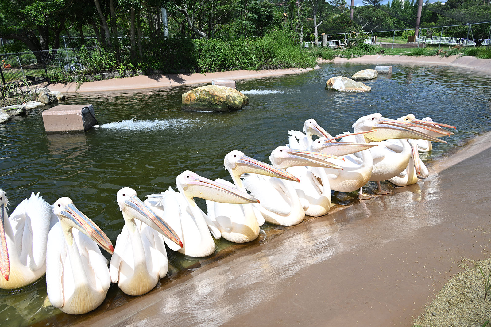 img_1_フィーディング7