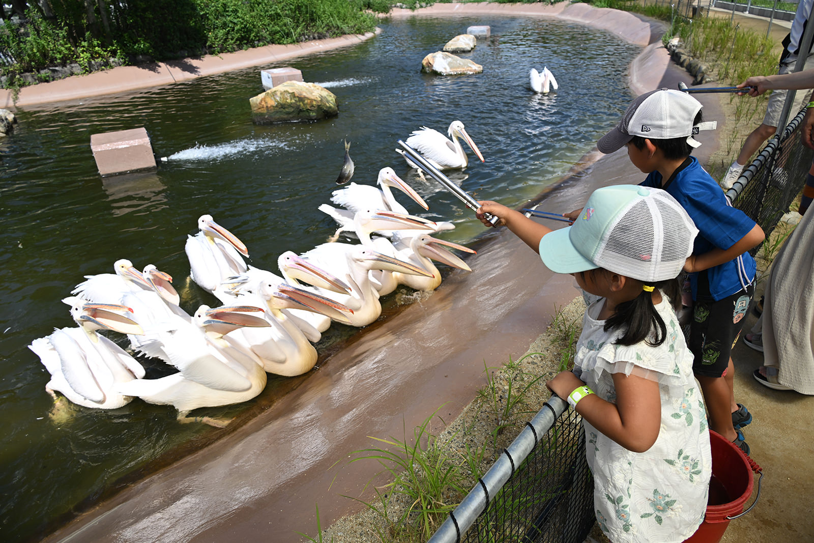 img_1_フィーディング8