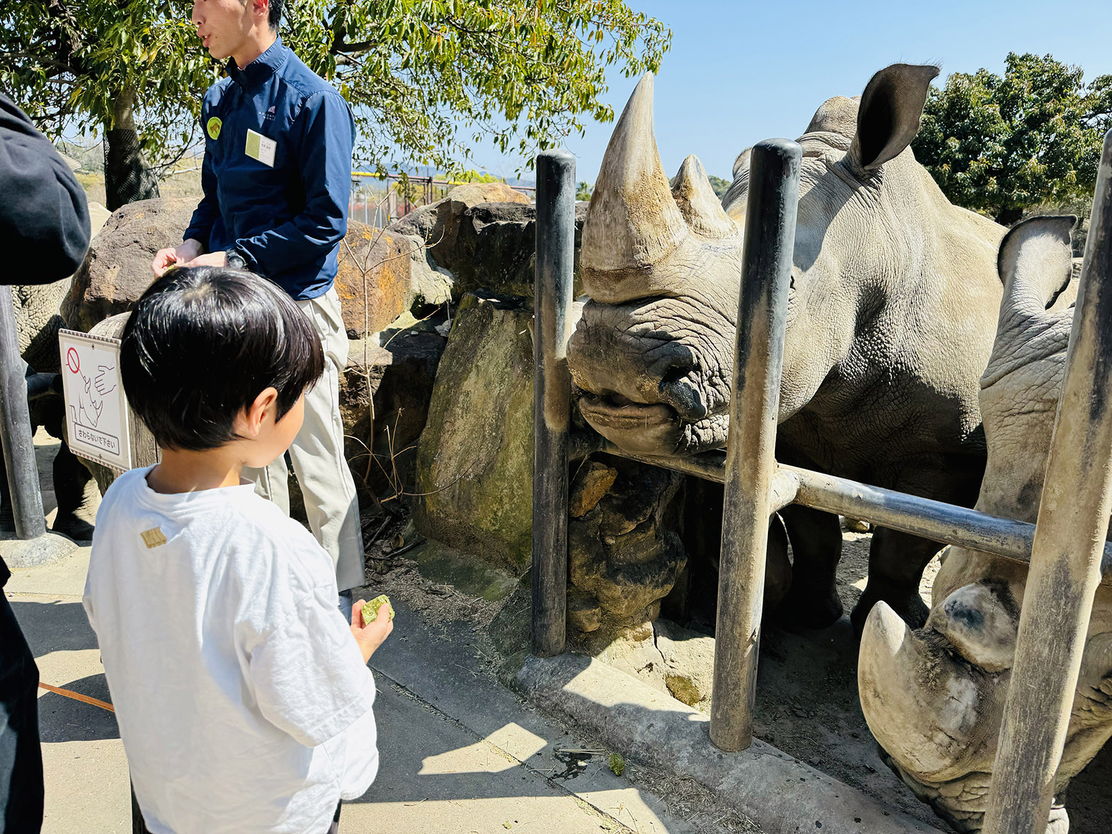 img_1_フィーディング_サイ1