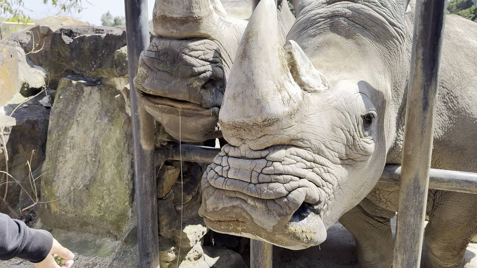 img_1_フィーディング_サイ4