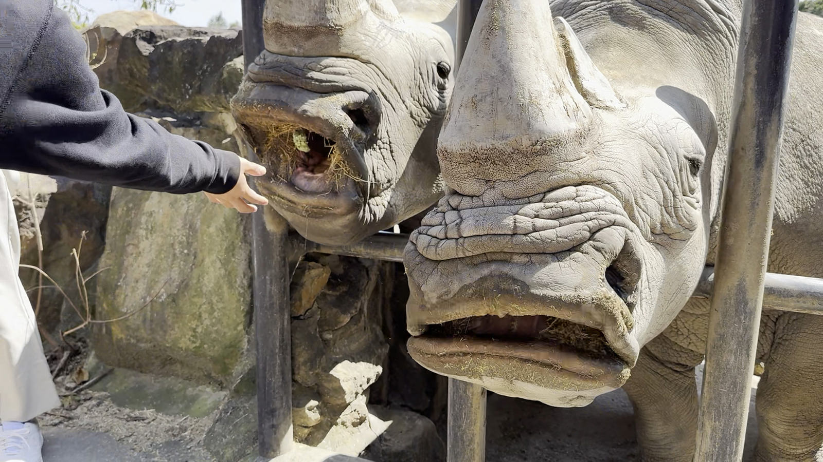 img_1_フィーディング_サイ5