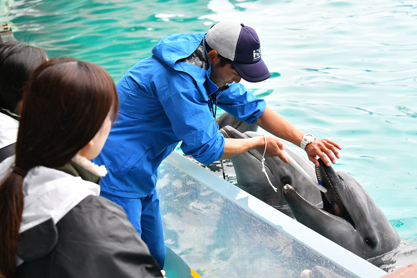 img_1_動物ライブ_1