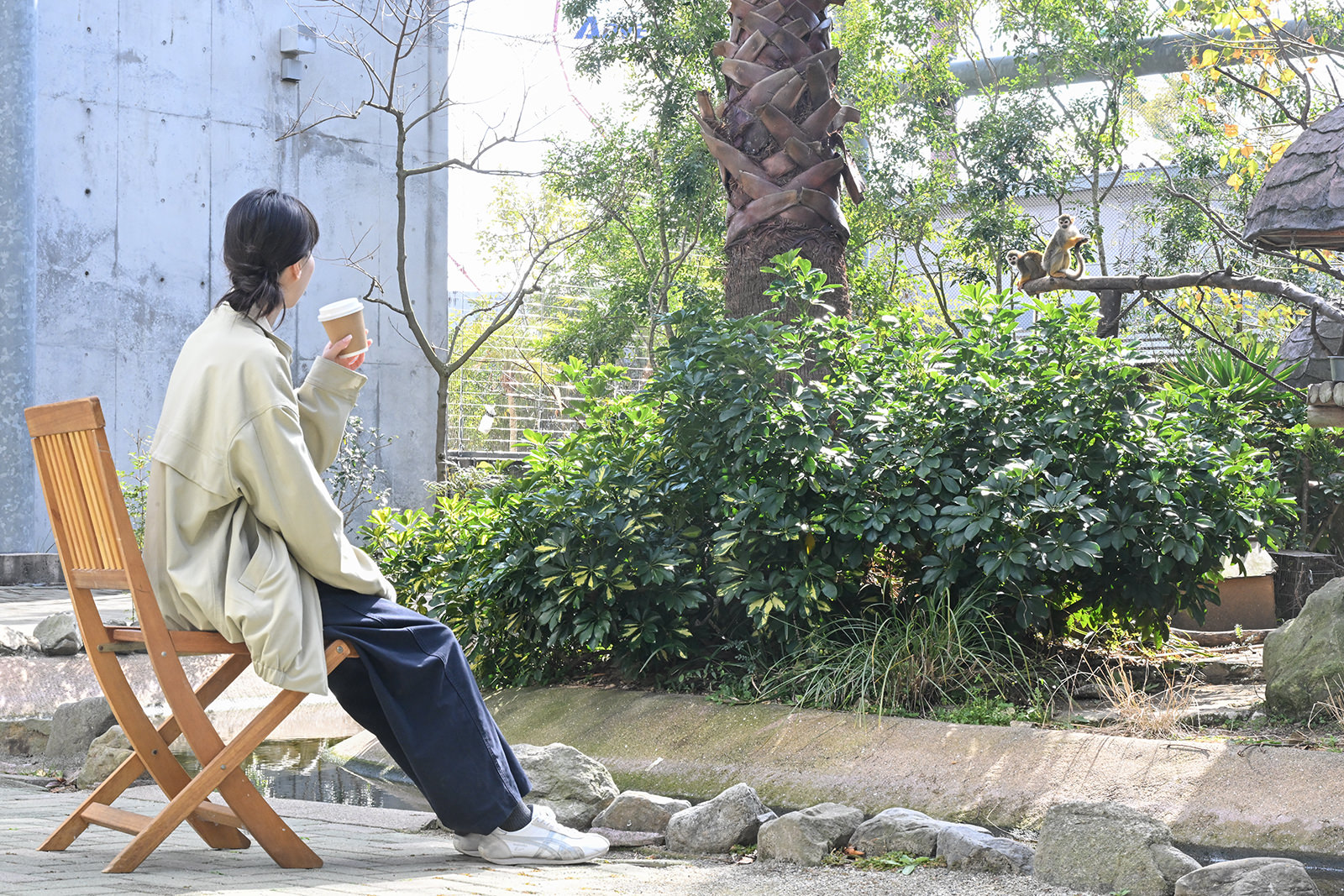 img_1_動物C_リスザル3