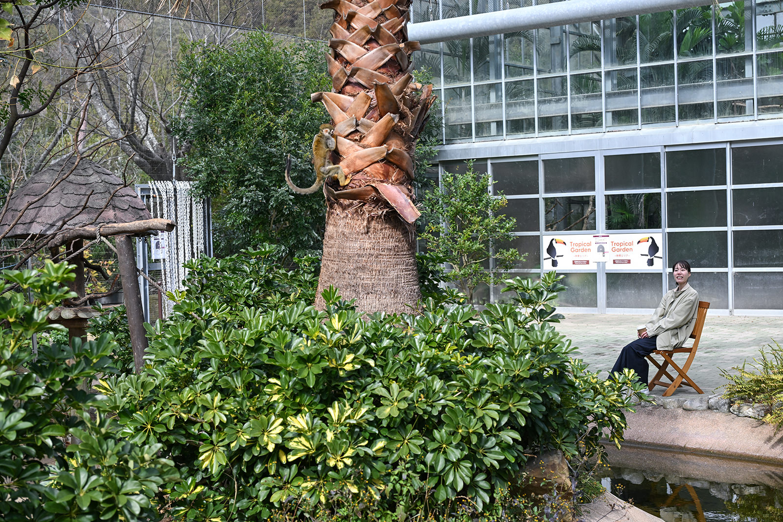 img_1_動物C_リスザル5