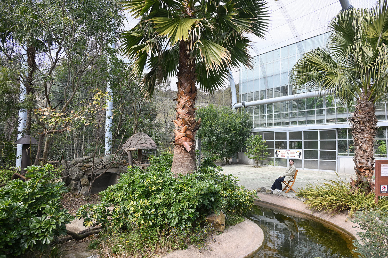 img_1_動物C_リスザル6