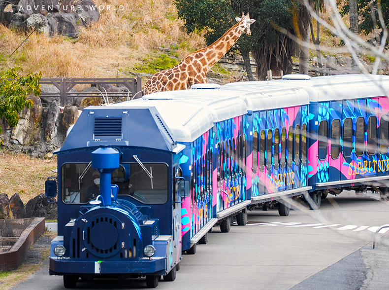 img_1_LIVE！サファリ_ケニア号