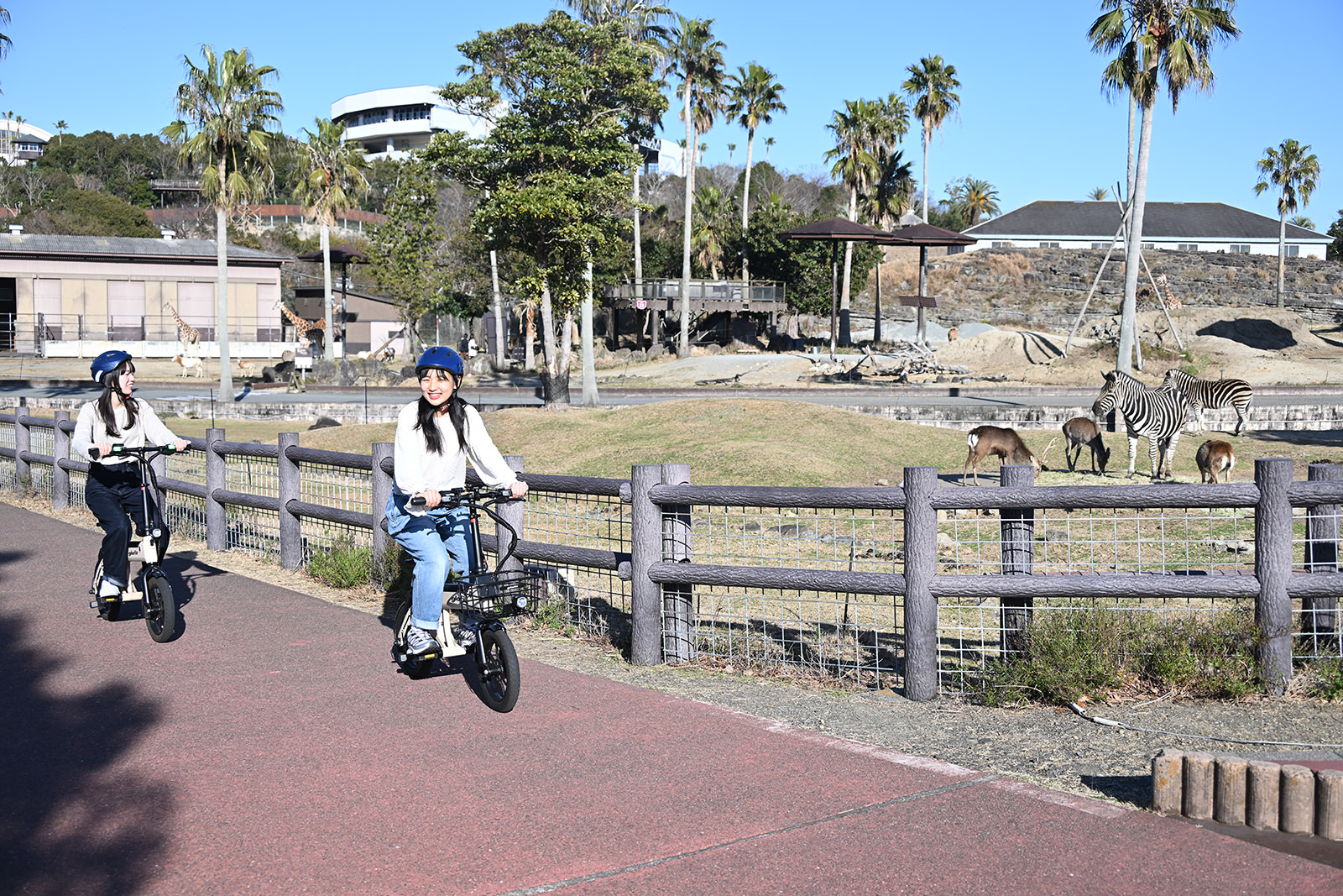 img_1_eバイク1