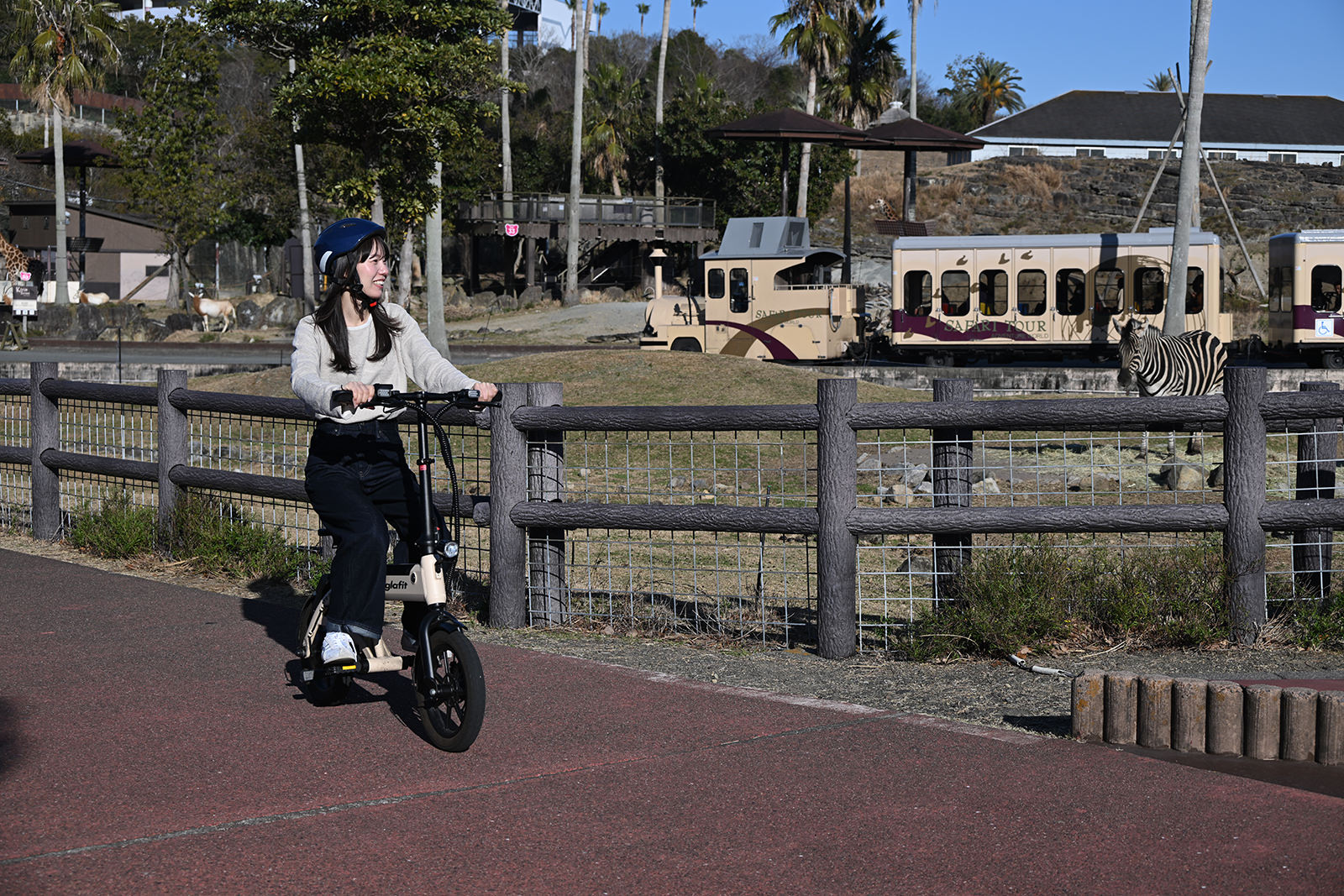 img_1_eバイク2