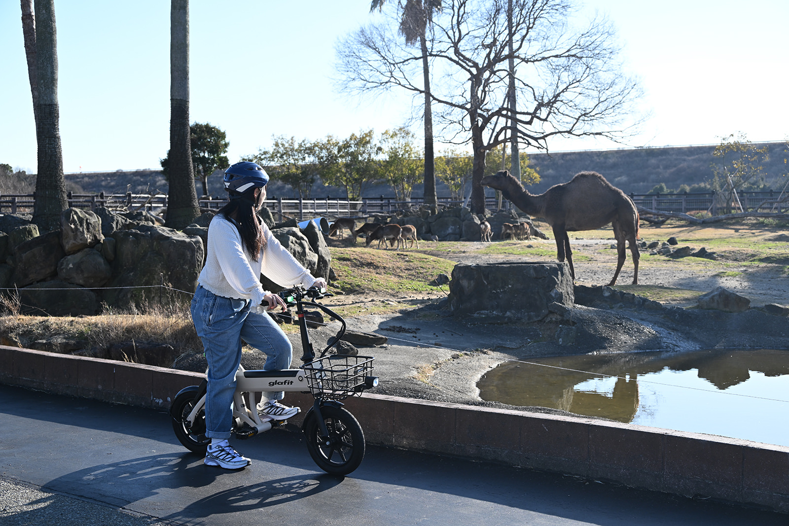 img_1_eバイク3