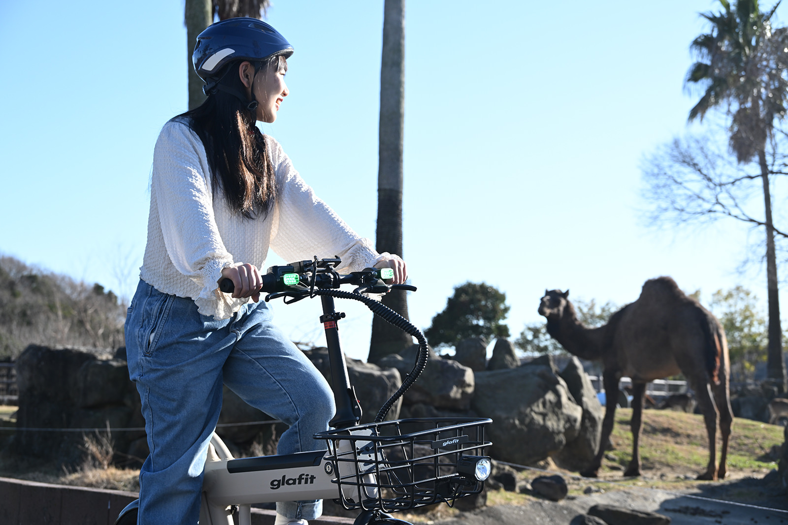 img_1_eバイク4