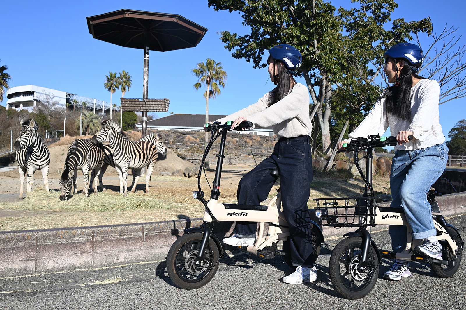 img_1_eバイク5