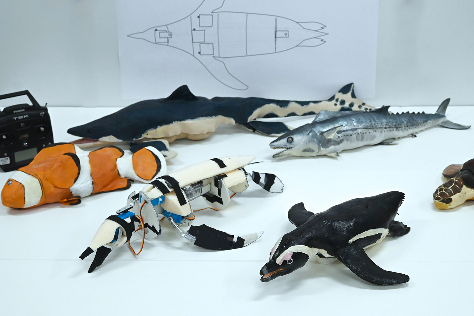 ペンギンロボットミュージアム｜アトラクション | アドベンチャーワールド