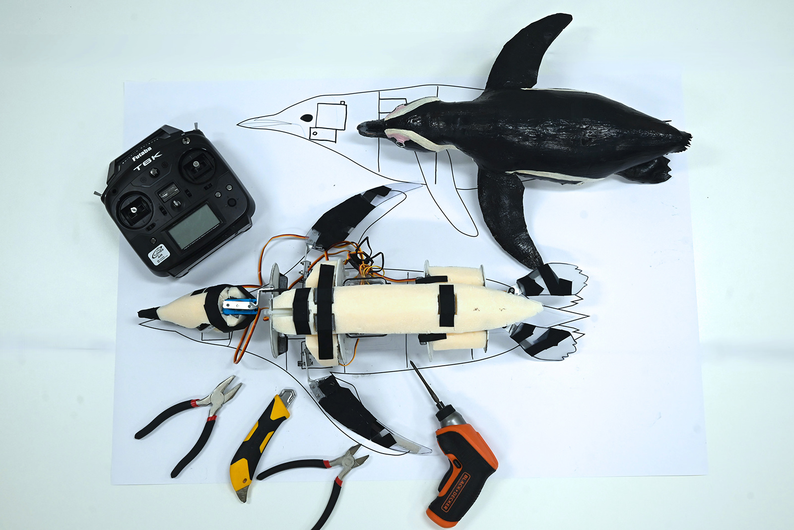 ペンギンロボットミュージアム｜アトラクション | アドベンチャーワールド