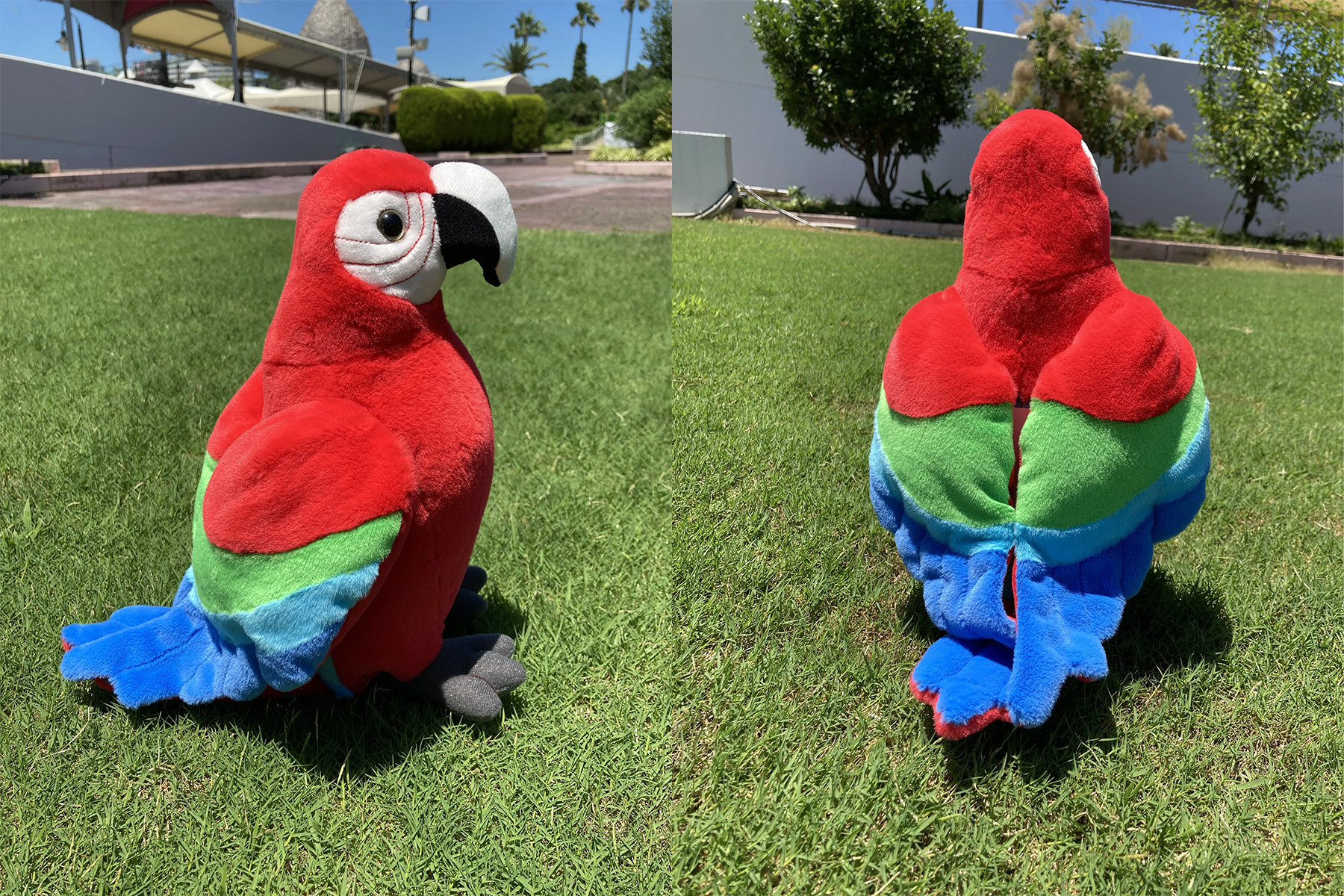 ベニコンゴウインコぬいぐるみ