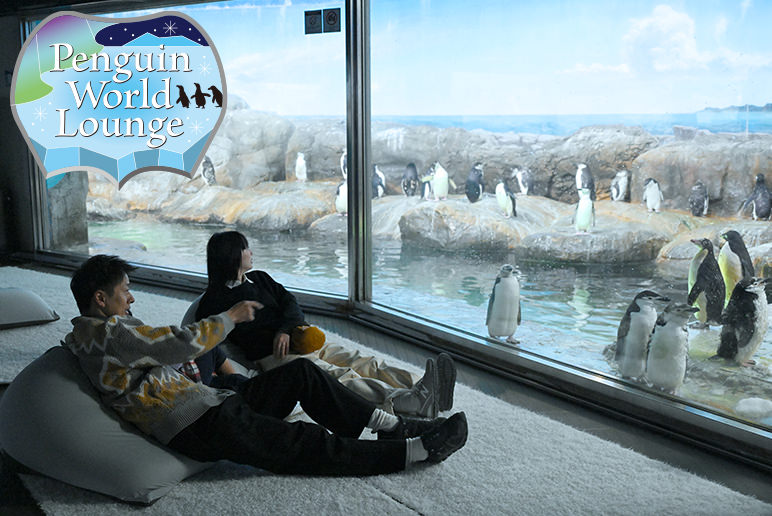 PENGUIN WORLD LOUNGE