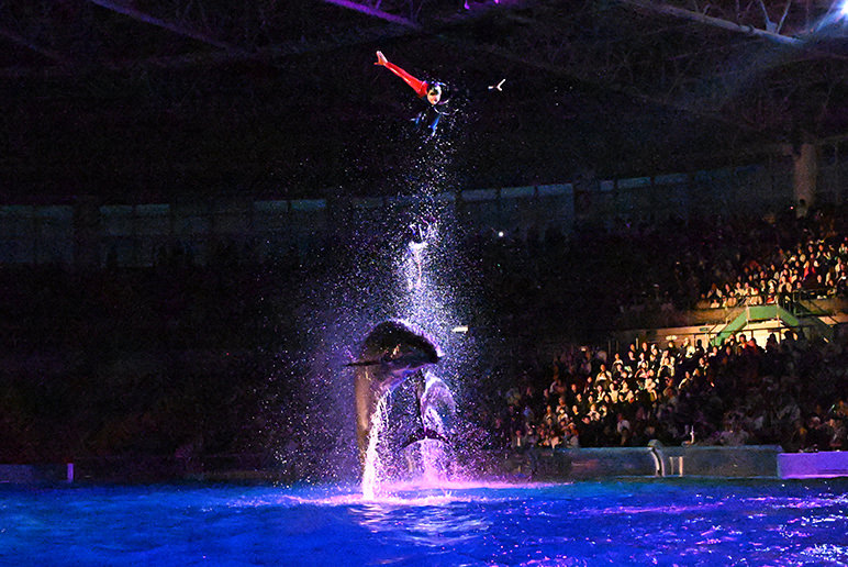 NIGHT MARINE LIVE “LOVES”