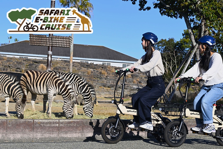 SAFARI E-BIKE CRUISE