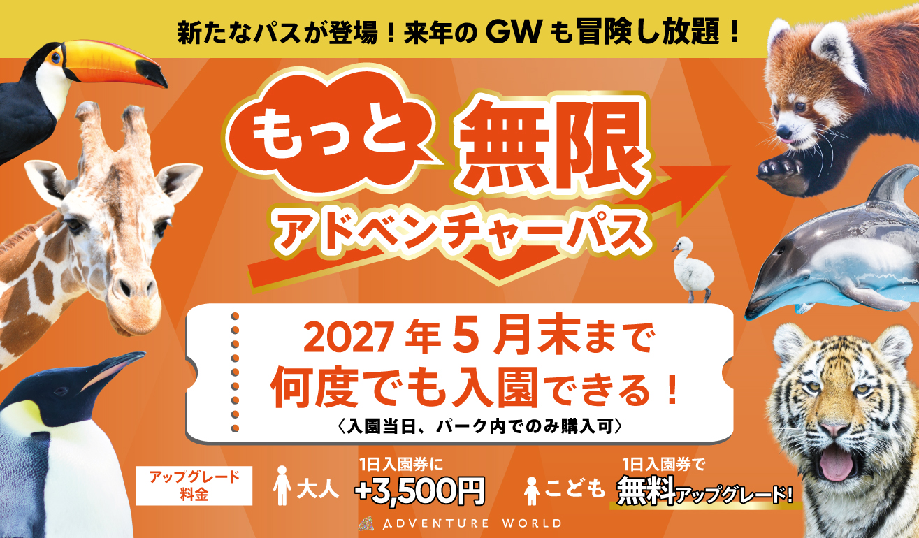 MOTTO MUGEN ADVENTURE PASS