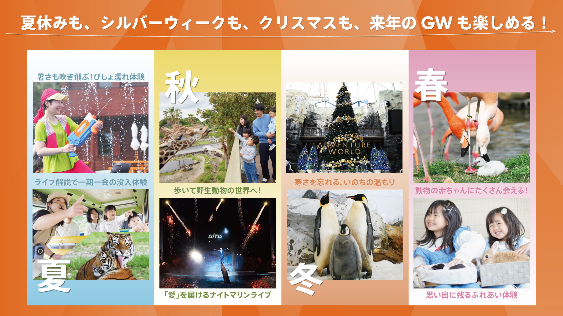 thum_2026summer_もっと無限パス2