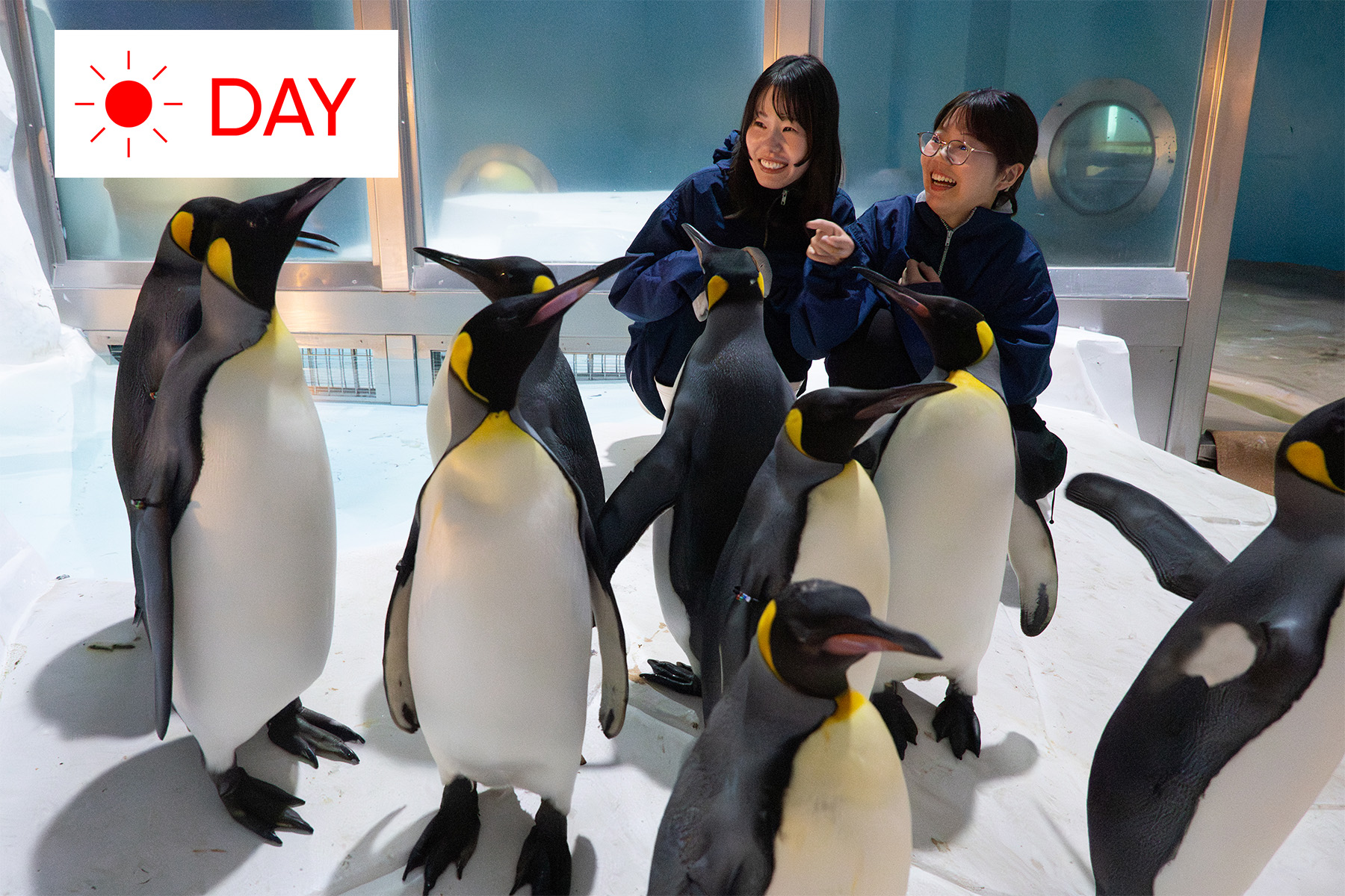 POLAR EXPEDITION TOUR