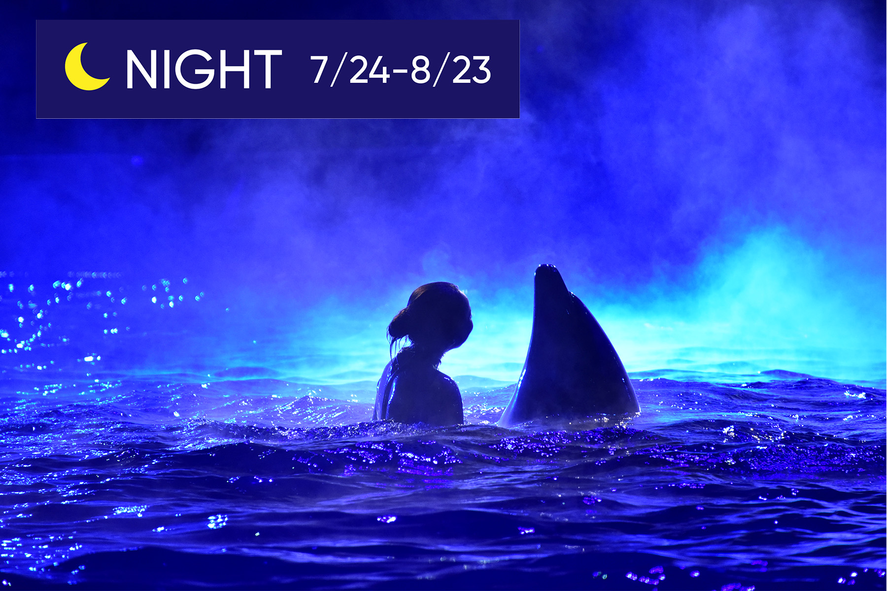NIGHT MARINE LIVE “LOVES”