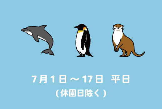 thum_4_2026summer_おすすめコース平日
