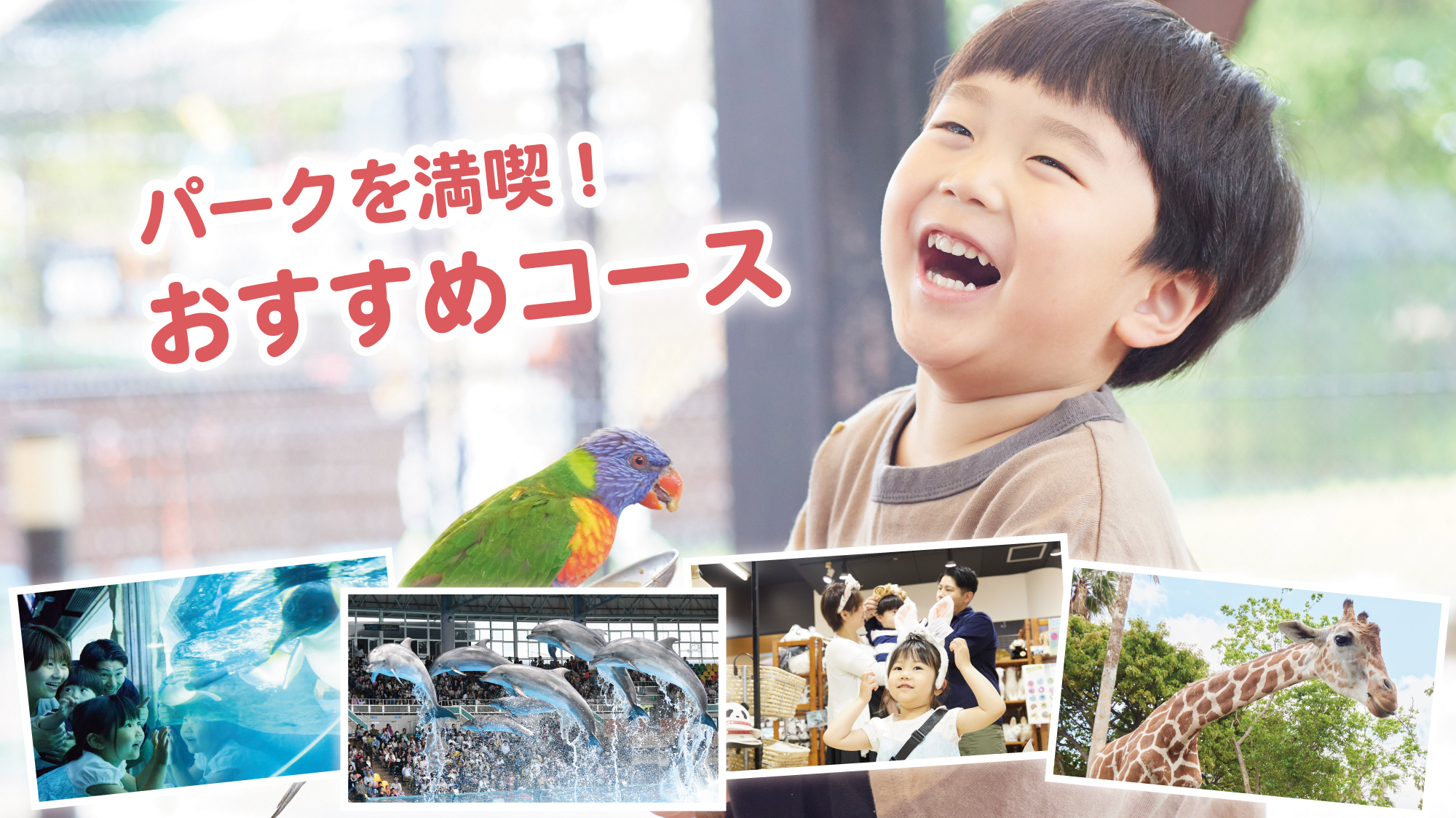 thum_4_2026summer_おすすめコース