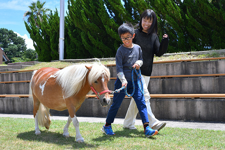 thum_4_2_ミニチュアホースと散歩