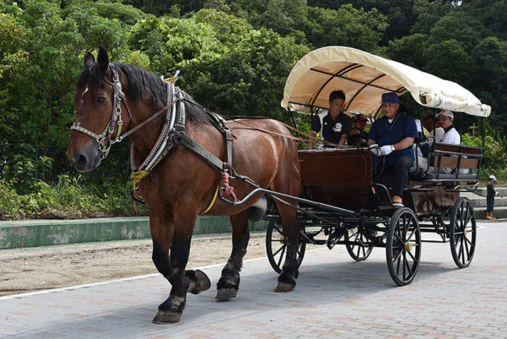 thum_4_2_大きい馬の馬車