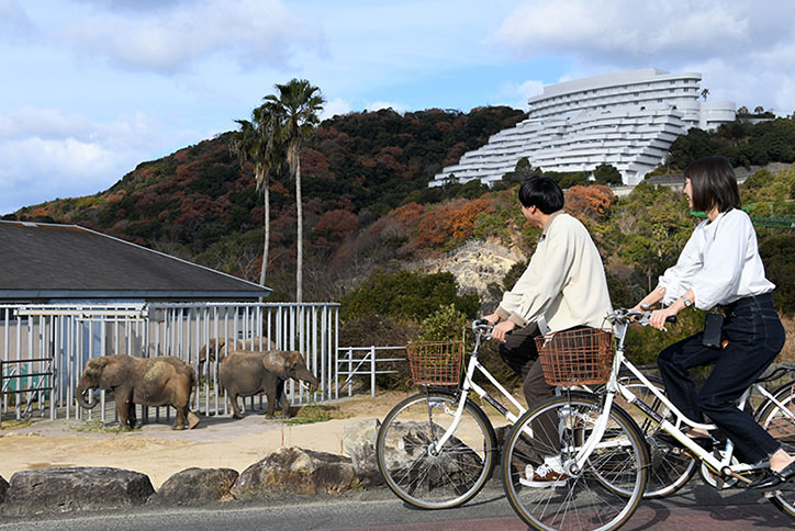 thum_4_3_サイクリングサファリ