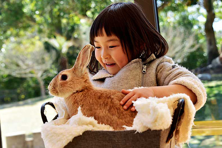 thum_4_4_ふれあい